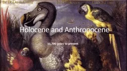 Holocene and Anthropocene