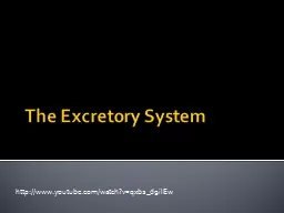 The Excretory System http://www.youtube.com/watch?v=qxb2_d9ilEw