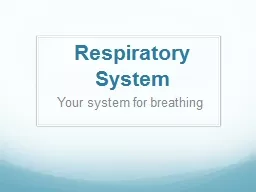 Respiratory  System Your system for breathing