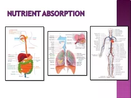 Nutrient Absorption What is