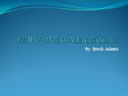 Ball Python Adaptations By: Brock Adams