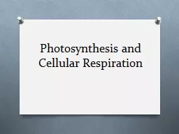 Photosynthesis and  Cellular Respiration
