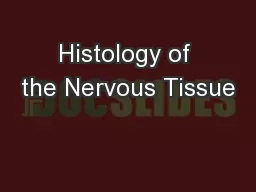 Histology of the Nervous Tissue