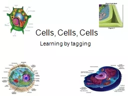 Cells, Cells, Cells Learning