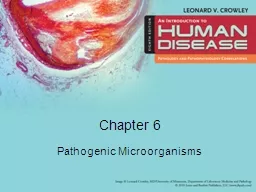 Chapter 6 Pathogenic Microorganisms
