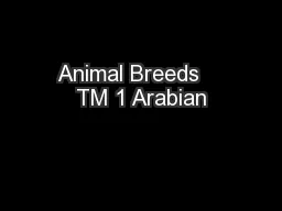 Animal Breeds    TM 1 Arabian