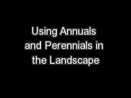 Using Annuals and Perennials in the Landscape