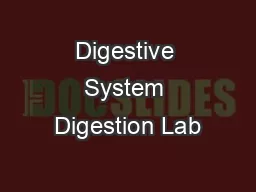 Digestive System Digestion Lab