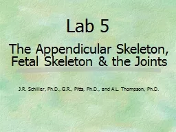 Lab 5 The Appendicular Skeleton, Fetal Skeleton & the Joints
