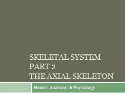 Skeletal system part 2 the axial skeleton