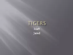 Tigers Matt Jared Table of contents