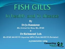 FISH GILLS In health and in disease