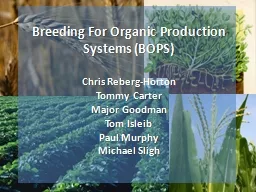 Breeding For Organic Production Systems (BOPS)