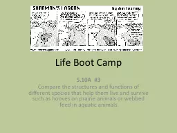 Life Boot Camp 5.10A	 #3