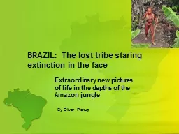BRAZIL:   The lost tribe staring extinction in the