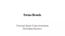 Swine Breeds National Junior Swine Association