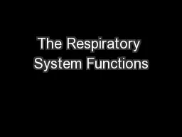 The Respiratory System Functions