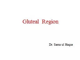 Gluteal Region Dr. Sama ul Haque