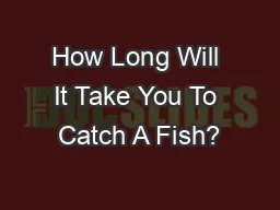How Long Will It Take You To Catch A Fish?
