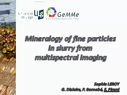 Mineralogy  of fine particles in slurry from