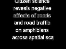 Citizen science reveals negative effects of roads and road traffic on amphibians across spatial sca
