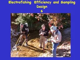 Electrofishing Efficiency and Sampling Design