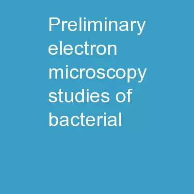 Preliminary electron microscopy studies of bacterial