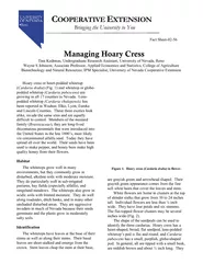 Managing hoary cress