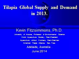 Tilapia Global  Supply