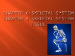 Chapter 6: skeletal system