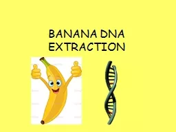 BANANA DNA EXTRACTION Many plants are