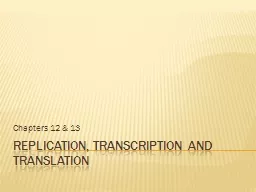 Replication, transcription and translation