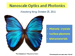 Nanoscale Optics and Photonics