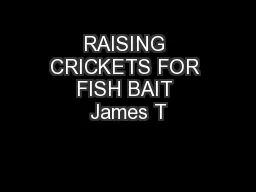 RAISING CRICKETS FOR FISH BAIT James T