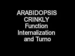 ARABIDOPSIS CRINKLY Function Internalization and Turno