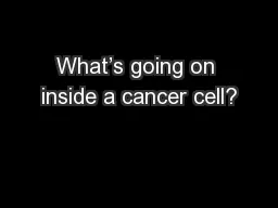 What’s going on inside a cancer cell?