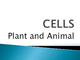 CELLS Plant and Animal Cells are the basic units of function in all living things.