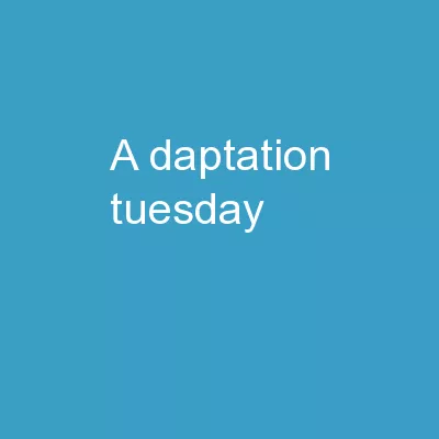 A daptation   Tuesday ,