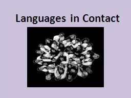 Languages in Contact Results of Bilingualism & Multilingualism