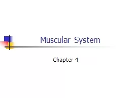 Muscular System Chapter 4