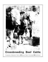 Crossbreeding Beef Cattl Cooperative Extension Service