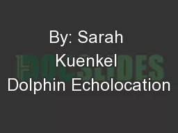 By: Sarah Kuenkel Dolphin Echolocation