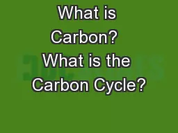 What is Carbon?  What is the Carbon Cycle?