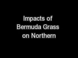 Impacts of Bermuda Grass on Northern