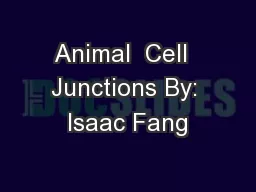 Animal  Cell  Junctions By: Isaac Fang