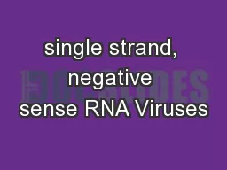 single strand, negative sense RNA Viruses