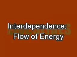 Interdependence: Flow of Energy