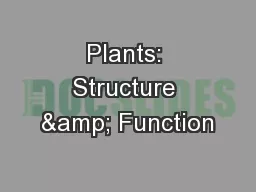 Plants: Structure & Function