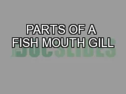 PARTS OF A FISH MOUTH GILL