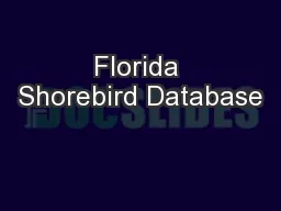 Florida Shorebird Database